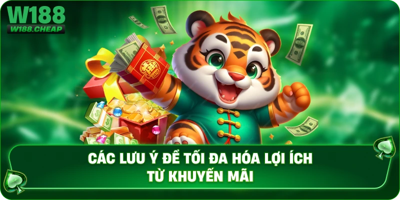 Các lưu ý để tối đa hóa lợi ích từ khuyến mãi