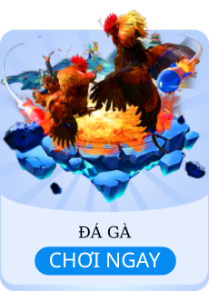 đá gà w188